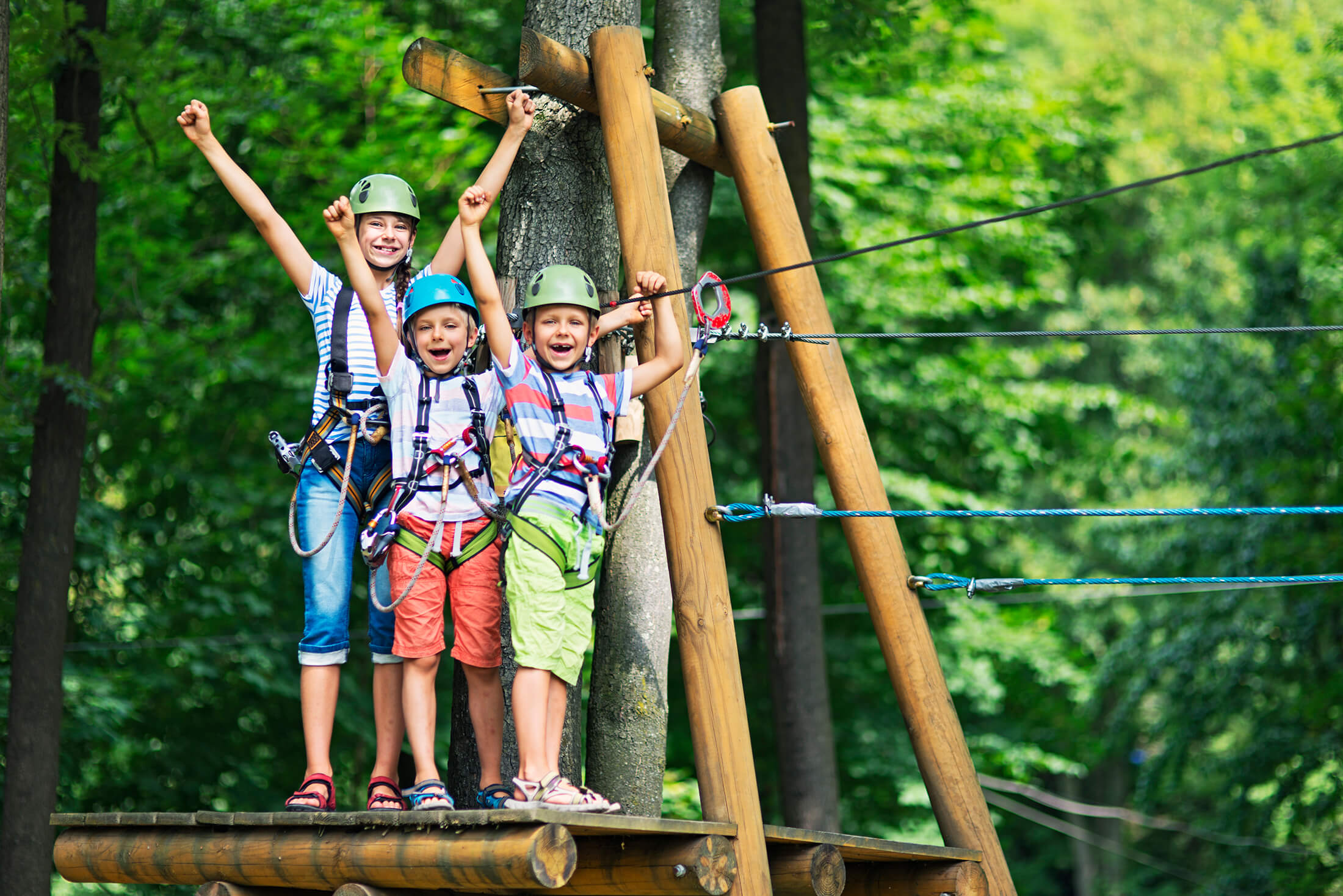 Kids doing tree clim activity